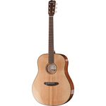 Breedlove Discovery Dreadnought