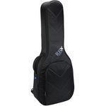 Reunion Blues RBX-A2 Acoustic Dreadnought