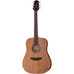 Takamine GD20-NA