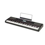 Korg Havian 30