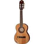 VGS Pro Arte GC-25II