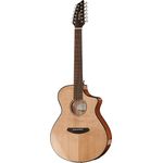 Breedlove Pursuit Concert 12 String