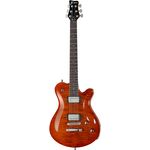 Framus Panthera Supreme GPS A B-Stock