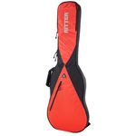 Ritter RGP5 Bass Guitar BRR