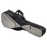 Ritter RGP5 Double Electric BSG