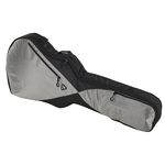 Ritter RGP5 335 Guitar BSG