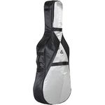 Ritter RSP5 Cello 1/4 BSG