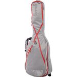 Ritter RGP8 Electric Guitar ext P.SGR