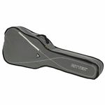 Ritter RGS3 Folk Guitar SGL