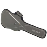 Ritter RGS3 Electric Guitar SGL