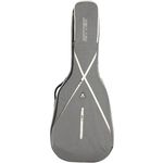 Ritter RGS7 Dreadnought Guitar SGL