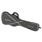 Ritter RGS7 Bass Guitar SGL