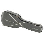 Ritter RGS7 Acoustic Bass SGL
