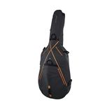 Ritter RSS7 Double Bass 3/4 MGB