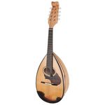 Suzuki M100 Mandolin