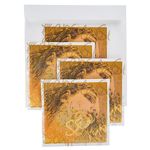Pirastro Evah Pirazzi Slap Strings Set