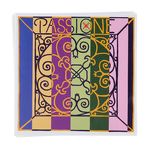 Pirastro Passione Solo Violin 4/4 KGL