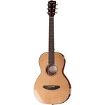 Breedlove Passport Parlor B-Stock