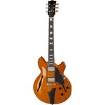 Fret King FKV3JE John Etheridge