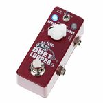 XVive D3 Duet Looper