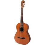 Raimundo 104-C estudio NS