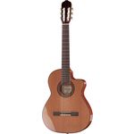 Raimundo 610E-C cutaway NAT