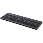 Roli Seaboard Grand Stage