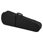 Roth & Junius RJVC Etude Violin Case