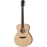 Furch G-21 SW