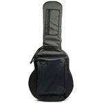 bam 8004H Flight Cover Archtop