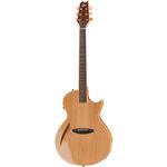 ESP LTD TL-6 NAT