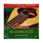Fisoma F3020D Mandolin Strings 80/20