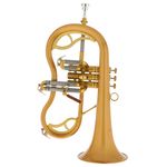 Carol Brass CFL-7200-GSS-Bb-SL "Legendary"