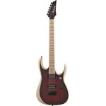 Ibanez RGDIX6MRW-CBF Iron Label