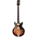 Ibanez AR725-VLS B-Stock