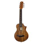 Ibanez EWP14WB-OPN Piccolo