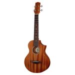 Ibanez UEWT5-OPN