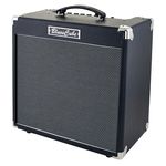 Roland Blues Cube Hot BK