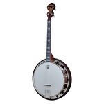 Deering Artisan Goodtime Two 17 T