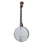 Deering Artisan Goodtime Spec. 17 T OB