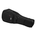 Gator G-PG E/A Double Bag