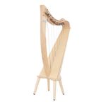 Salvi Juno Lever Harp 25 Str. NA