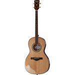 Ibanez AVT1-NT Tenor Guitar