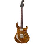 Knaggs Severn T2 Trem Sunflower #578