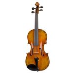 Hidersine Venezia Viola Set 14"
