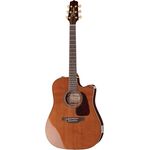 Takamine P5DCWB