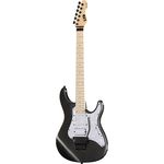 ESP LTD SN-200FR Maple CHM