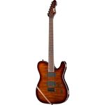 ESP LTD TE-401FM DBSB
