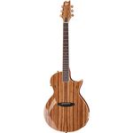 ESP LTD TL-6Z