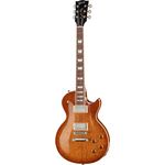 Gibson Les Paul Birdseye NA